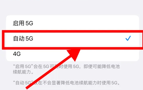 苹果15的5g开关在哪里 iPhone15设置5g网络方法介绍图5