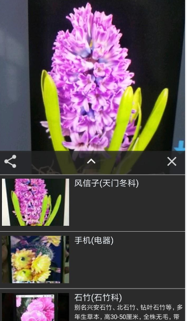 拍照识花用什么软件最好图3