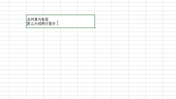 excel中合并单元格后分成两行的具体操作流程是图5