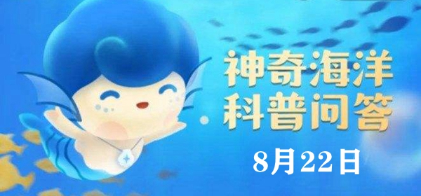 神奇海洋今日答案8.22：听说水母身上95%以上都是水，这是真的吗图1