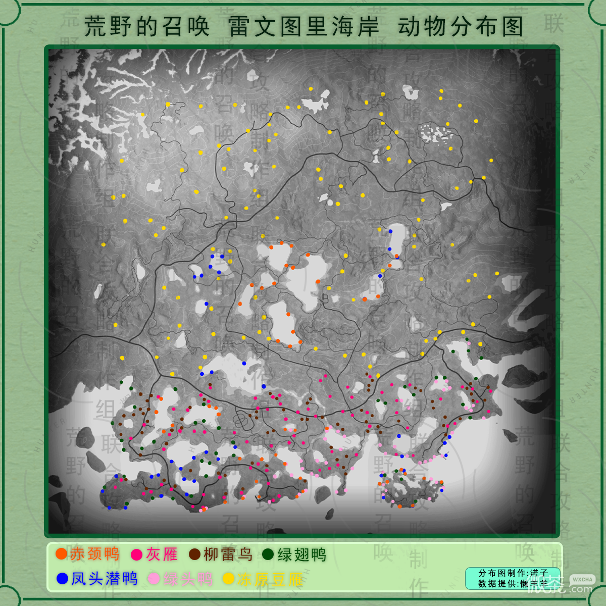 猎人荒野的呼唤雷文图里的凤头潜鸭位置一览图2